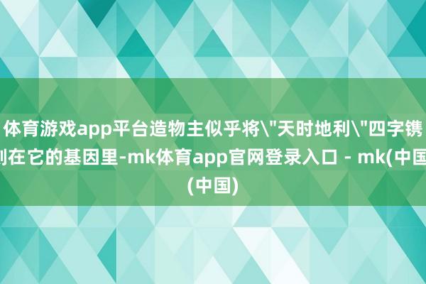 体育游戏app平台造物主似乎将