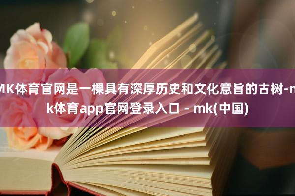 MK体育官网是一棵具有深厚历史和文化意旨的古树-mk体育app官网登录入口 - mk(中国)