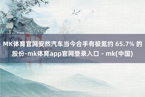 MK体育官网安然汽车当今合手有极氪约 65.7% 的股份-mk体育app官网登录入口 - mk(中国)