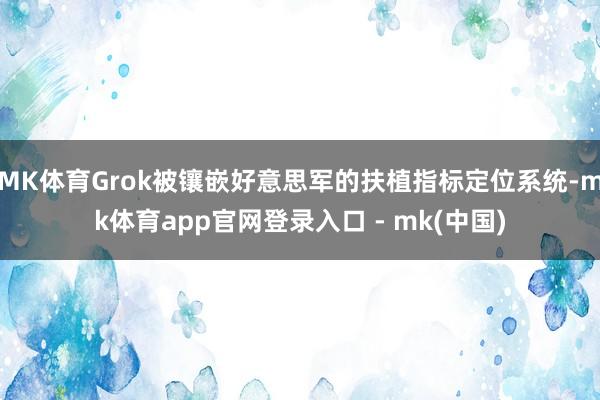 MK体育Grok被镶嵌好意思军的扶植指标定位系统-mk体育app官网登录入口 - mk(中国)