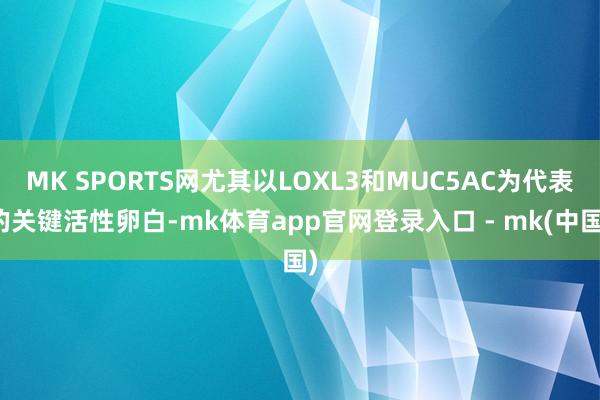 MK SPORTS网尤其以LOXL3和MUC5AC为代表的关键活性卵白-mk体育app官网登录入口 - mk(中国)